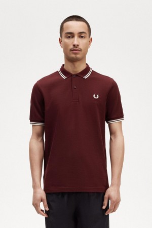 Camisa Polo Fred Perry M3600 Hombre Oxblood / Ecru / Ecru | CLNZX83580